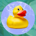 Cruise ship duck