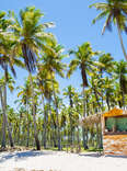 Brazil’s Laid-Back Coast Is a Beach Heaven You’ll Want to Revisit Again and Again